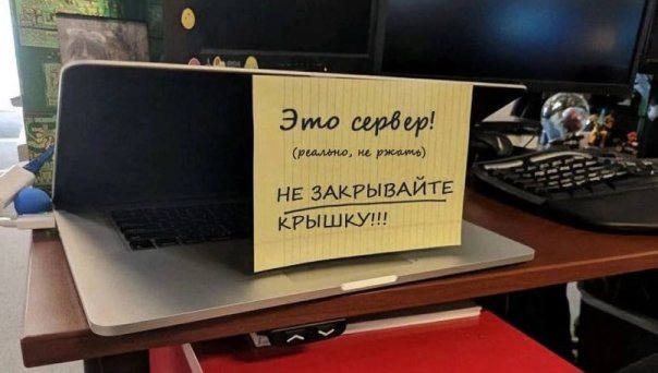 пов: сервера openvk...