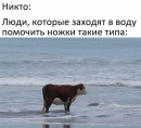 это я, потому что я не умею плавать...