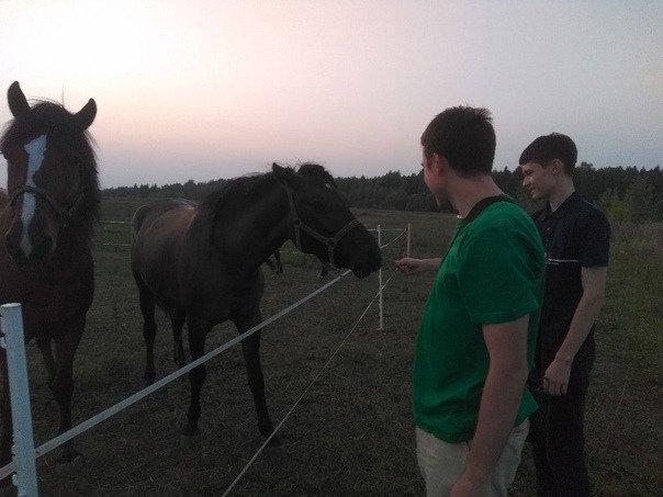 Встреча 12 августа проходила в виде ...