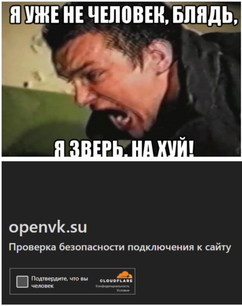 Бесконечная загрузка OpenVK......