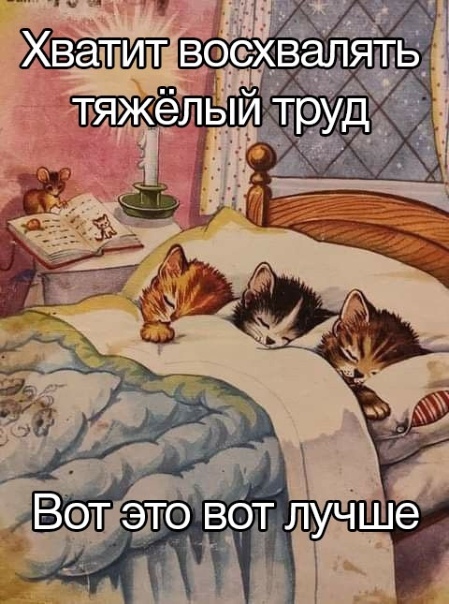 Как же я блять люблю выходные вы б з...