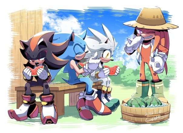 #sonic
#shadow
#knuckles
#silver...