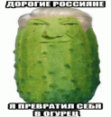 Огурельцин