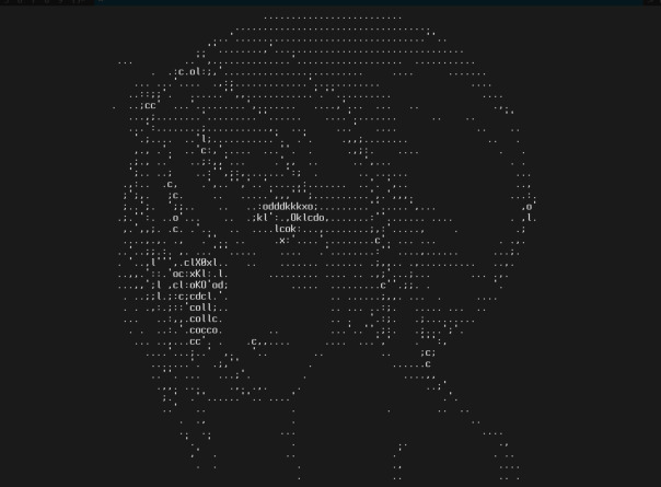 Неудачная попытка в ASCII арт...