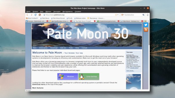 Pale Moon 30. Быстрый браузер на баз...