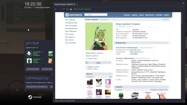 Оверлей Steam https://openvk.su/wall...